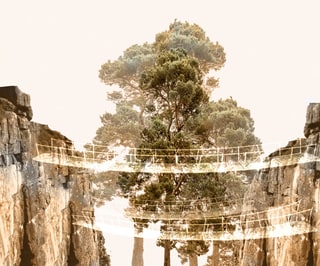 Bridges — project artwork 1