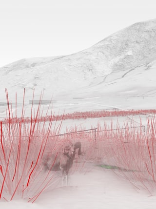 Observations of nuclear landscapes — project artwork 11
